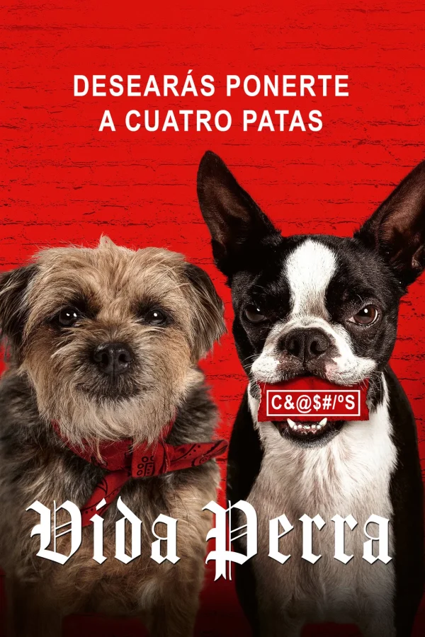 VIDA PERRA